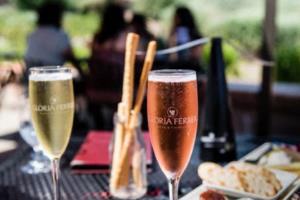 德甲焦点，科隆足球德甲联赛的崛起与挑战科隆足球德甲联赛