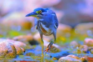 2021德甲赛季，冠军争夺战白热化，强队实力与战术革新2021赛季德甲联赛