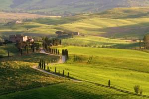 德甲联赛历史排名，从冠军球队到足球文化的变迁德甲联赛历史排名